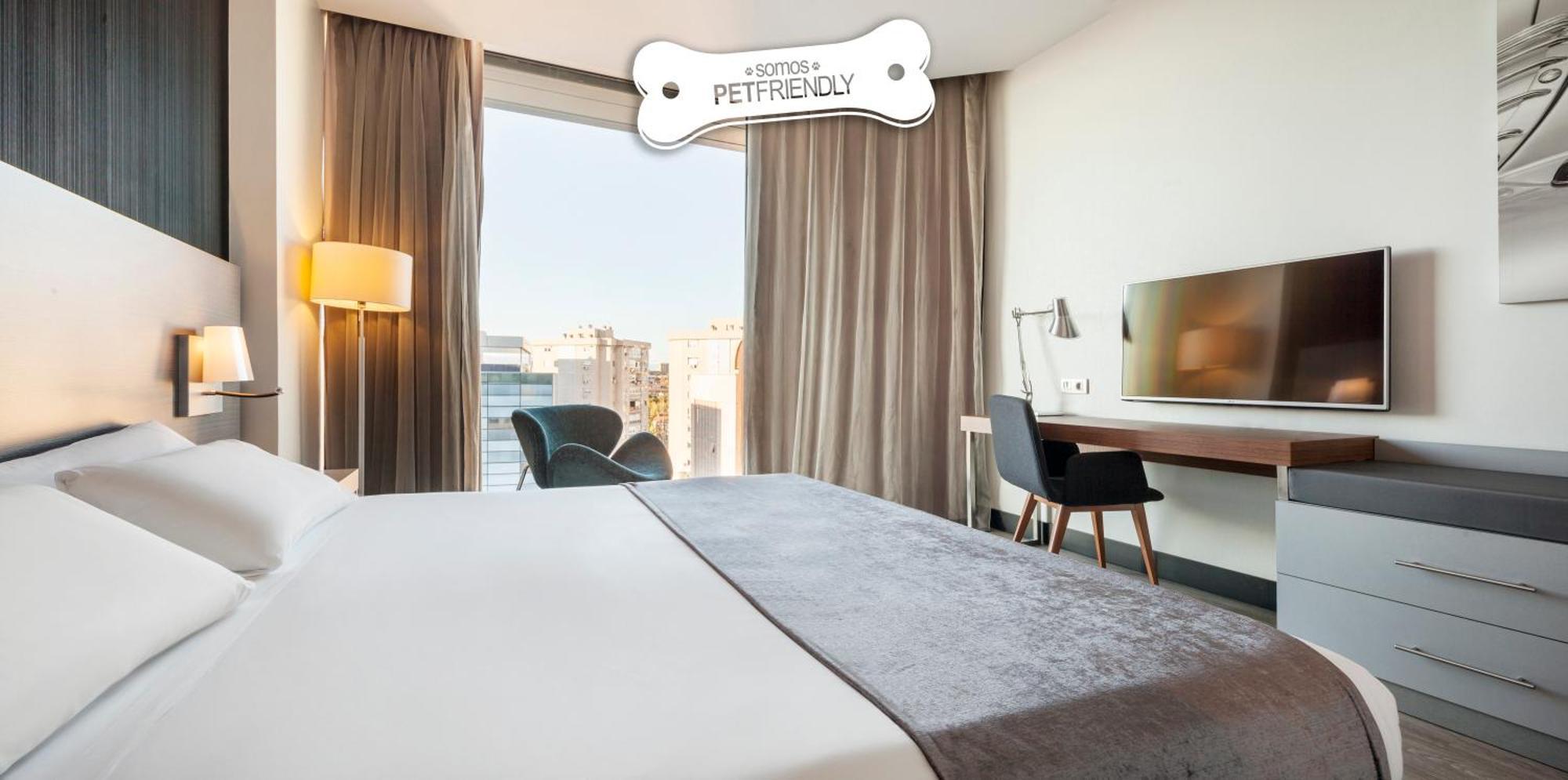 Standard Double Room Pet Friendly,1153825542:JPEG